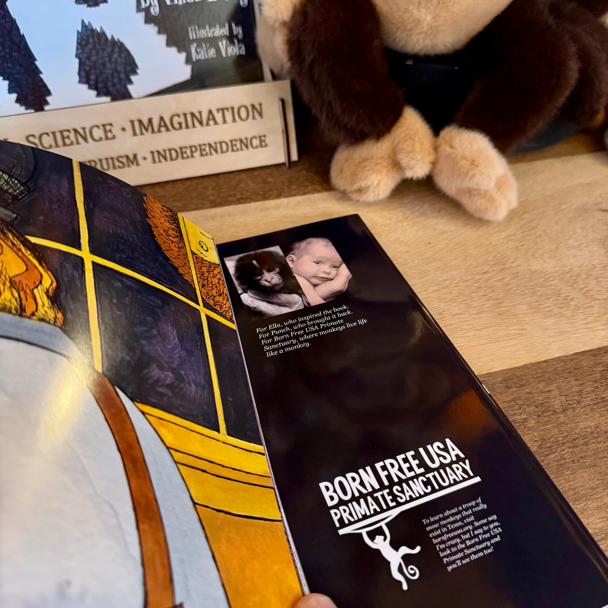 Hardcover
