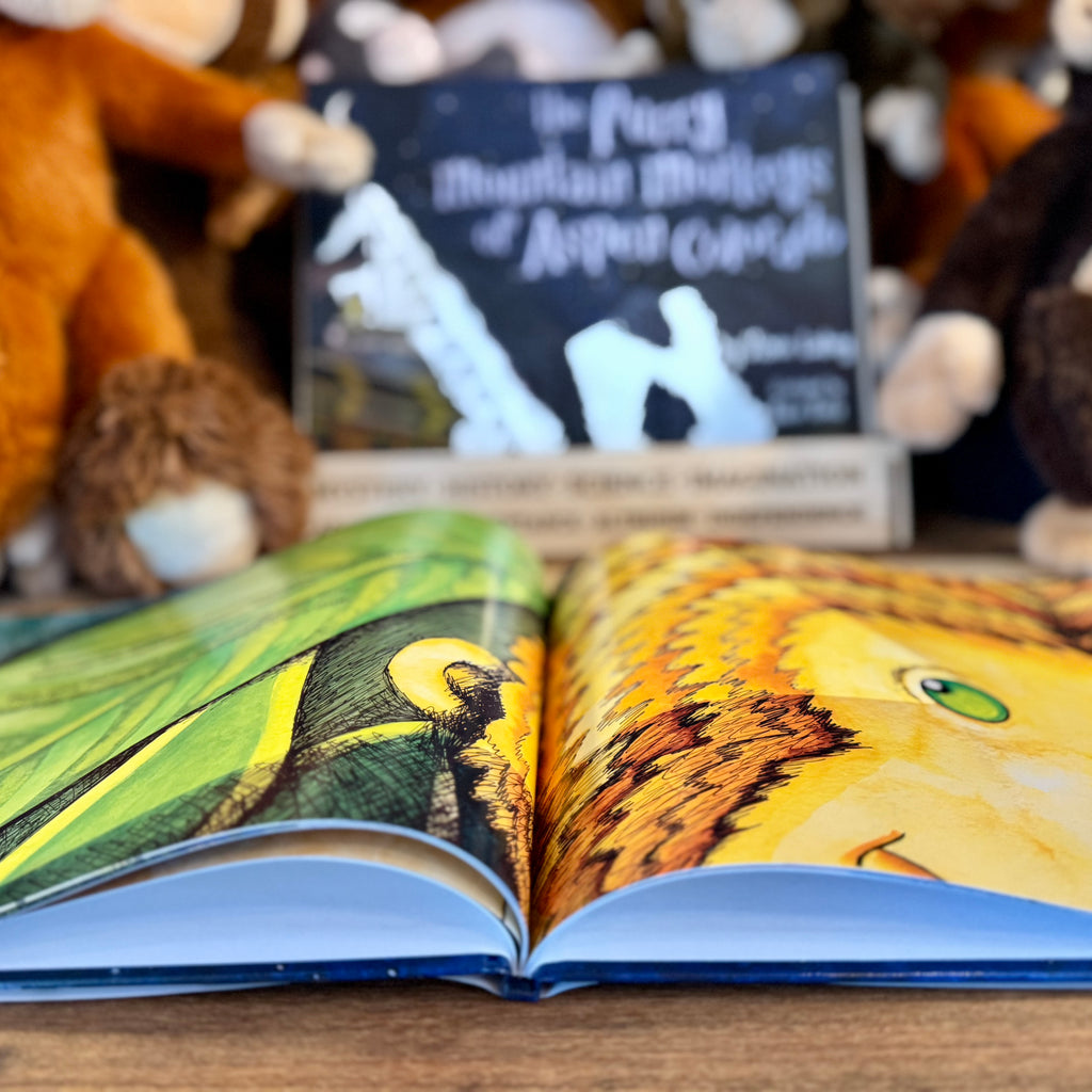 Hardcover