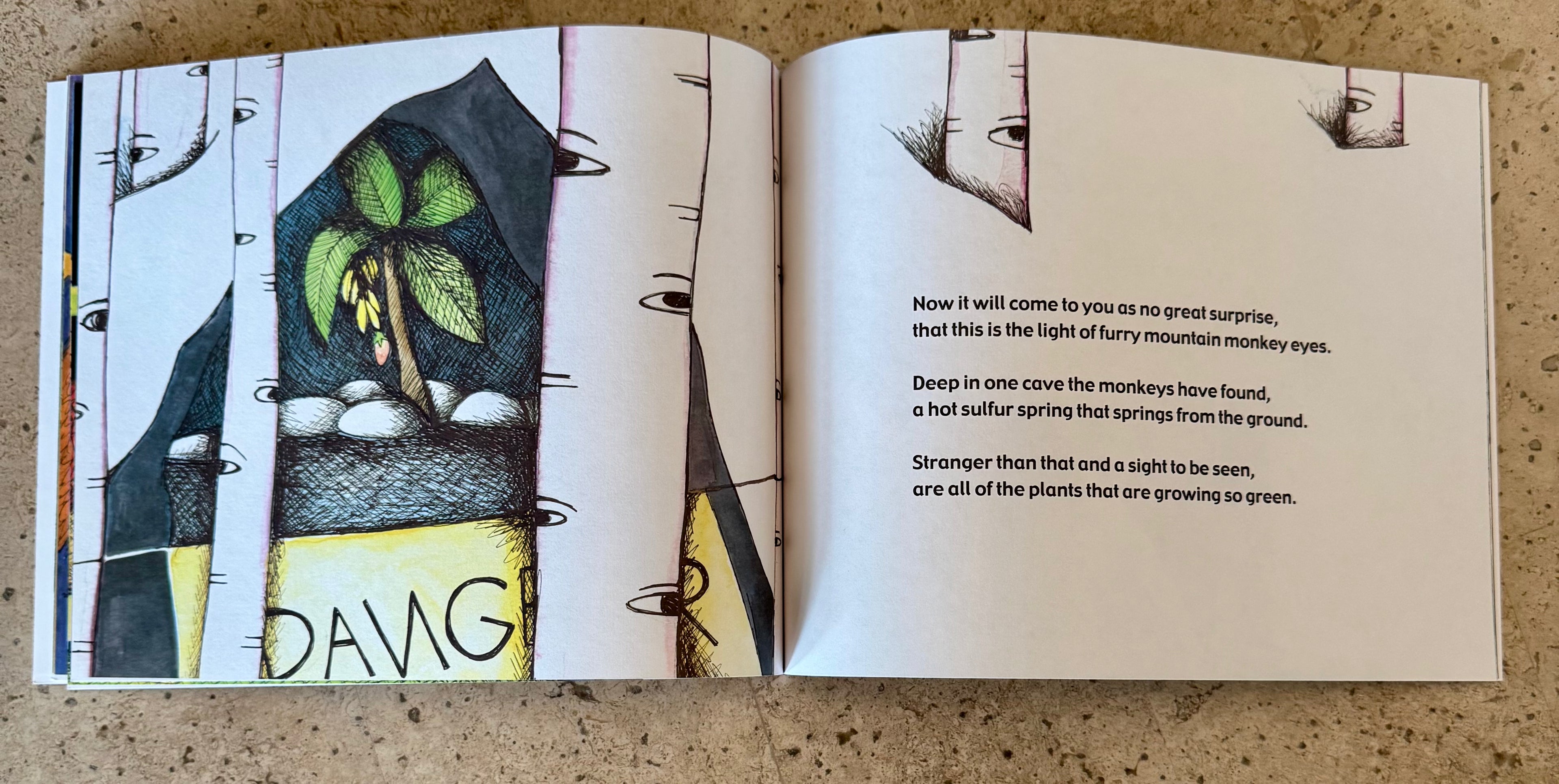 Paperback