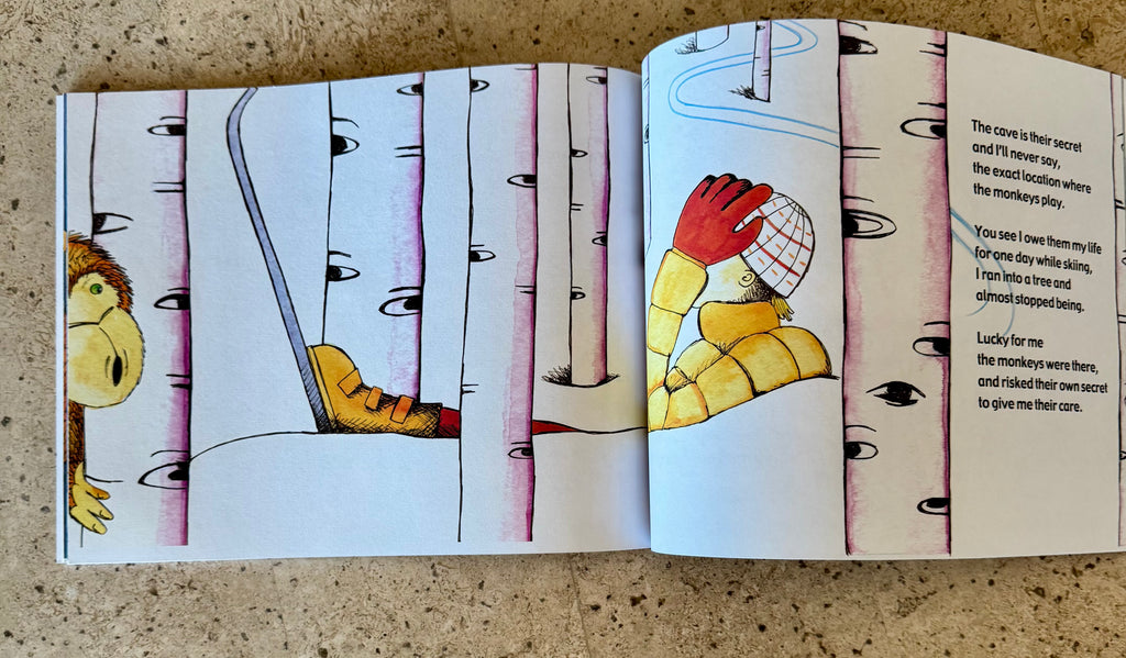 Paperback