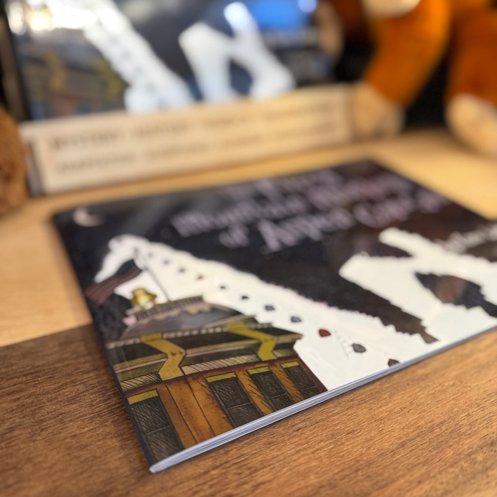 Paperback