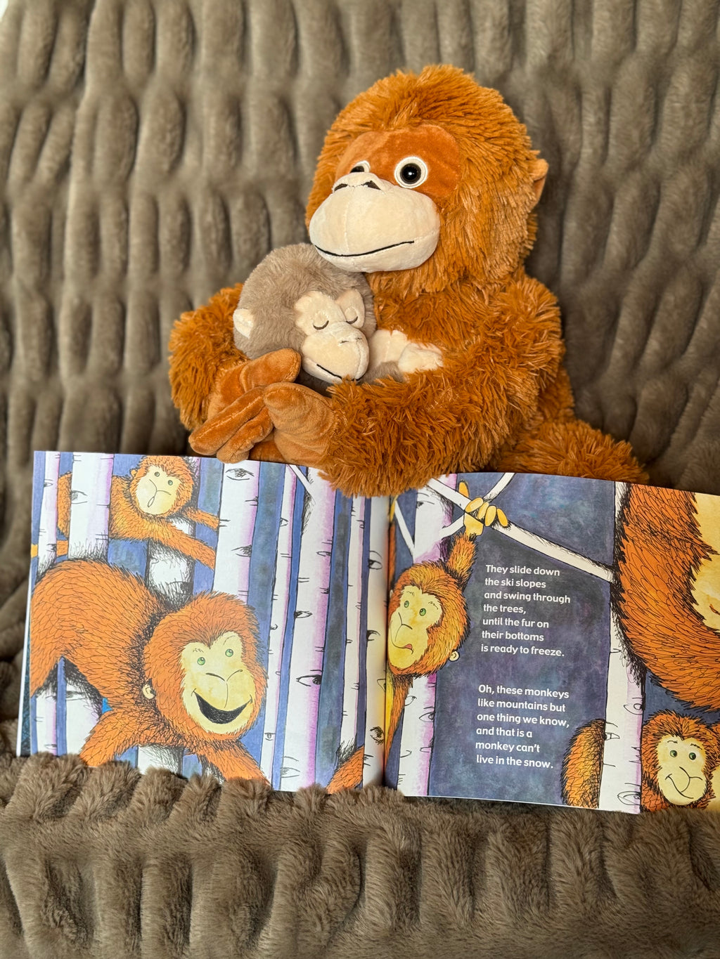 Paperback & Plush Monkey