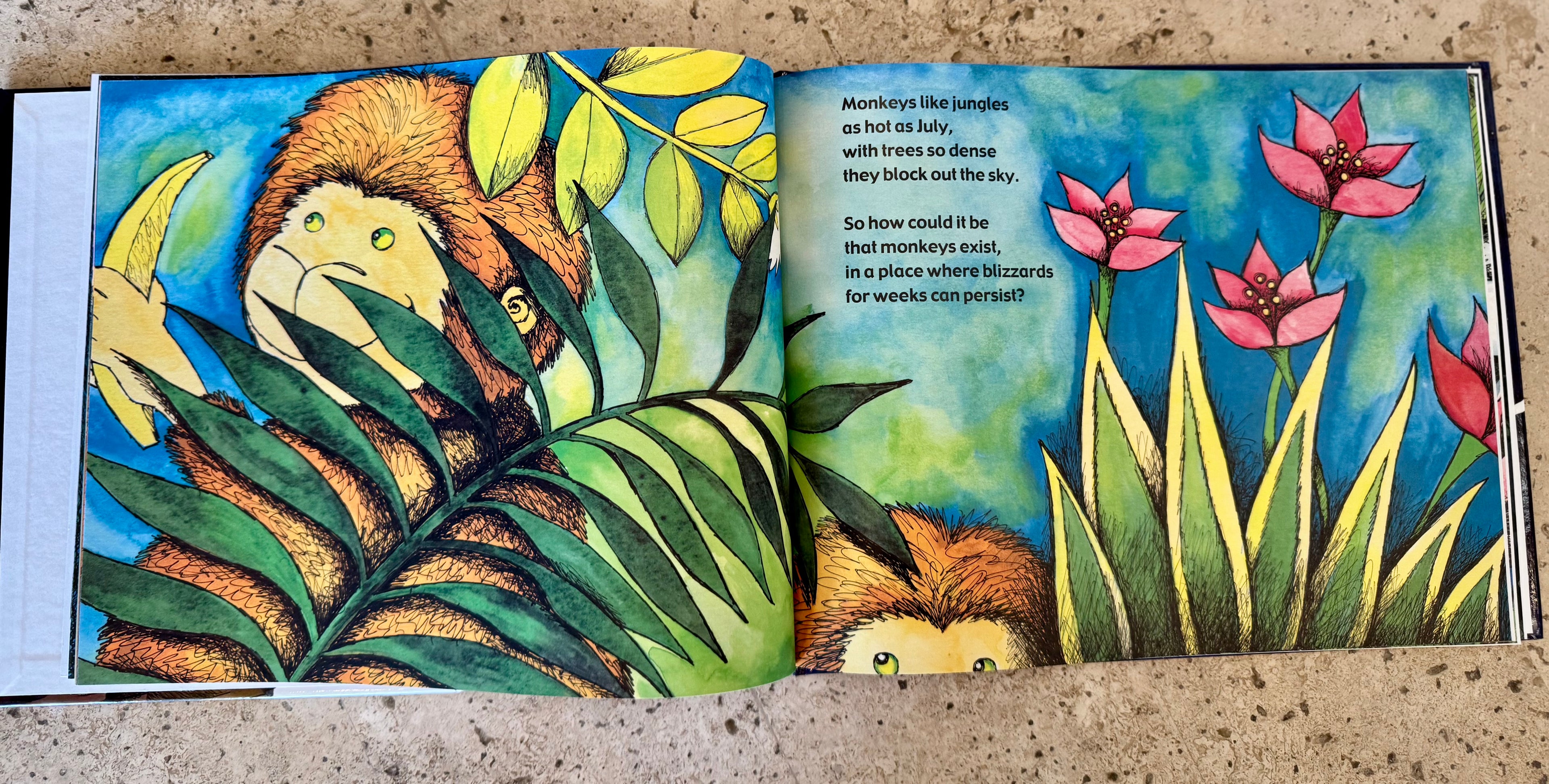 Hardcover