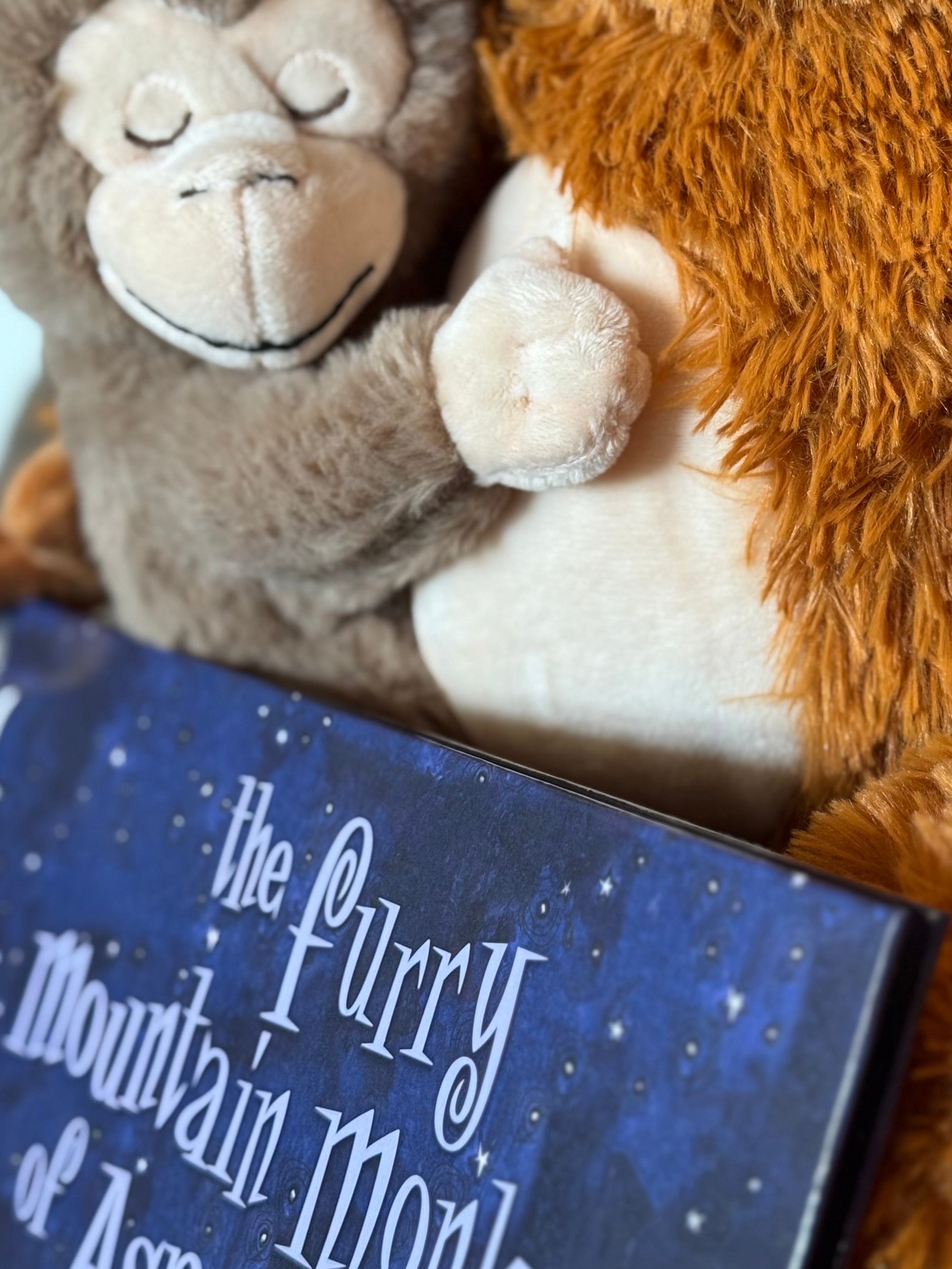 Hardcover & Plush Monkey