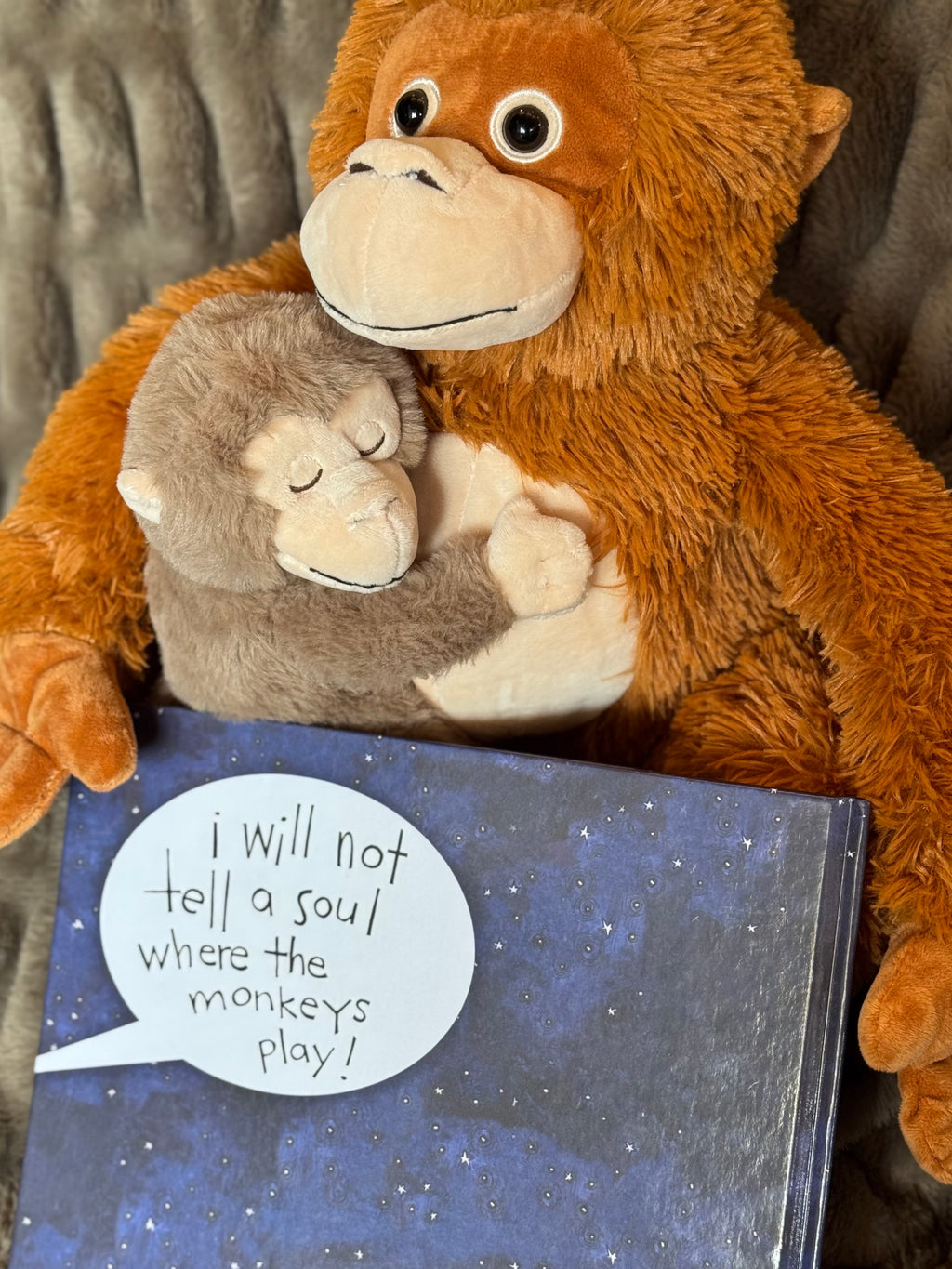 Hardcover & Plush Monkey