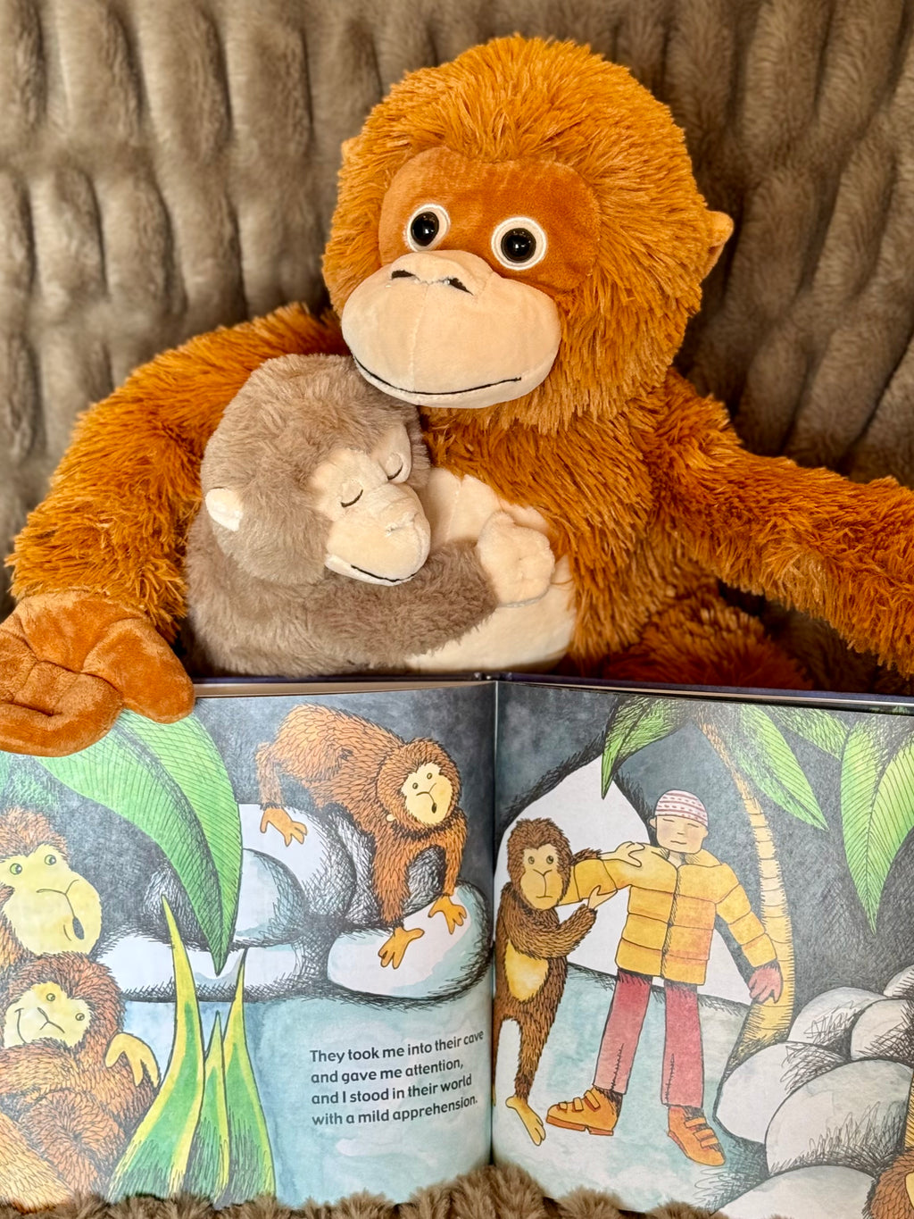 Hardcover & Plush Monkey