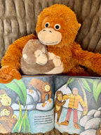 Hardcover & Plush Monkey