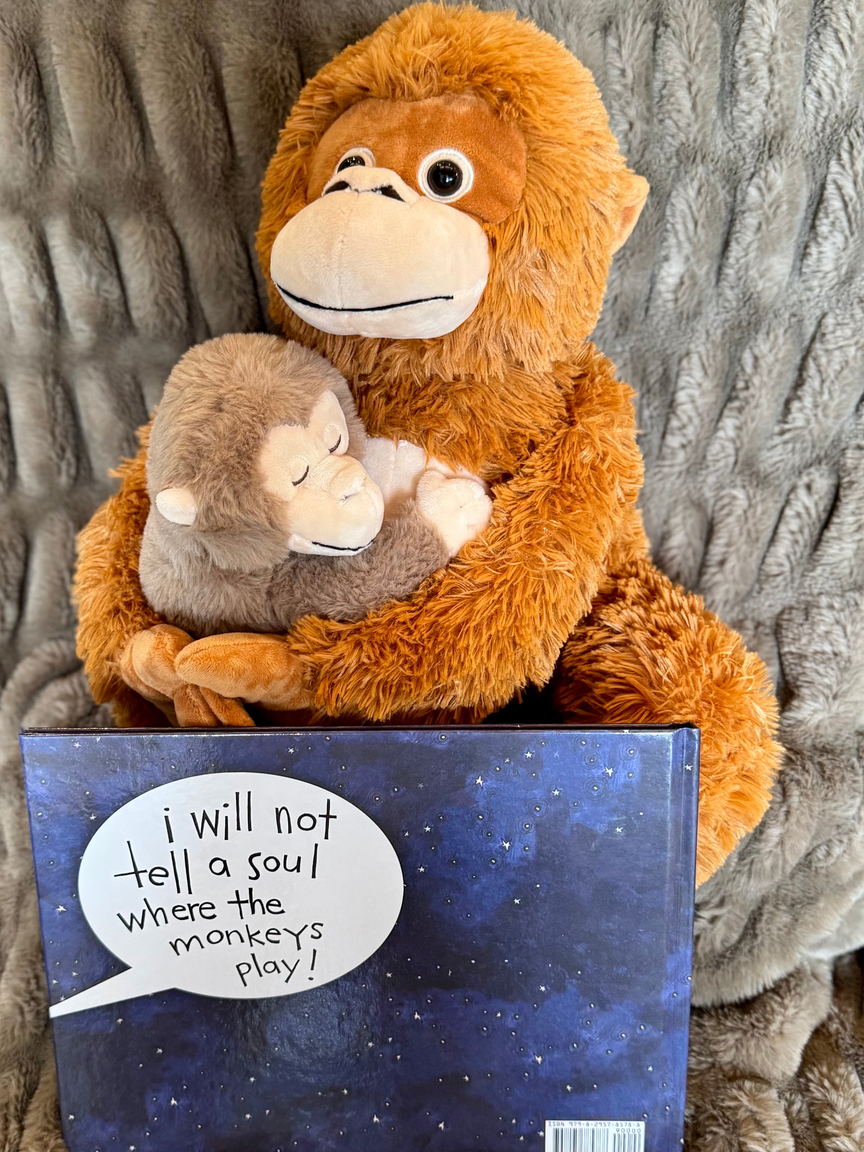 Hardcover & Plush Monkey