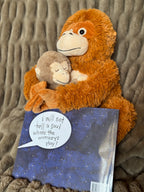 Paperback & Plush Monkey