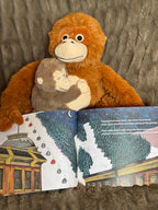 Paperback & Plush Monkey