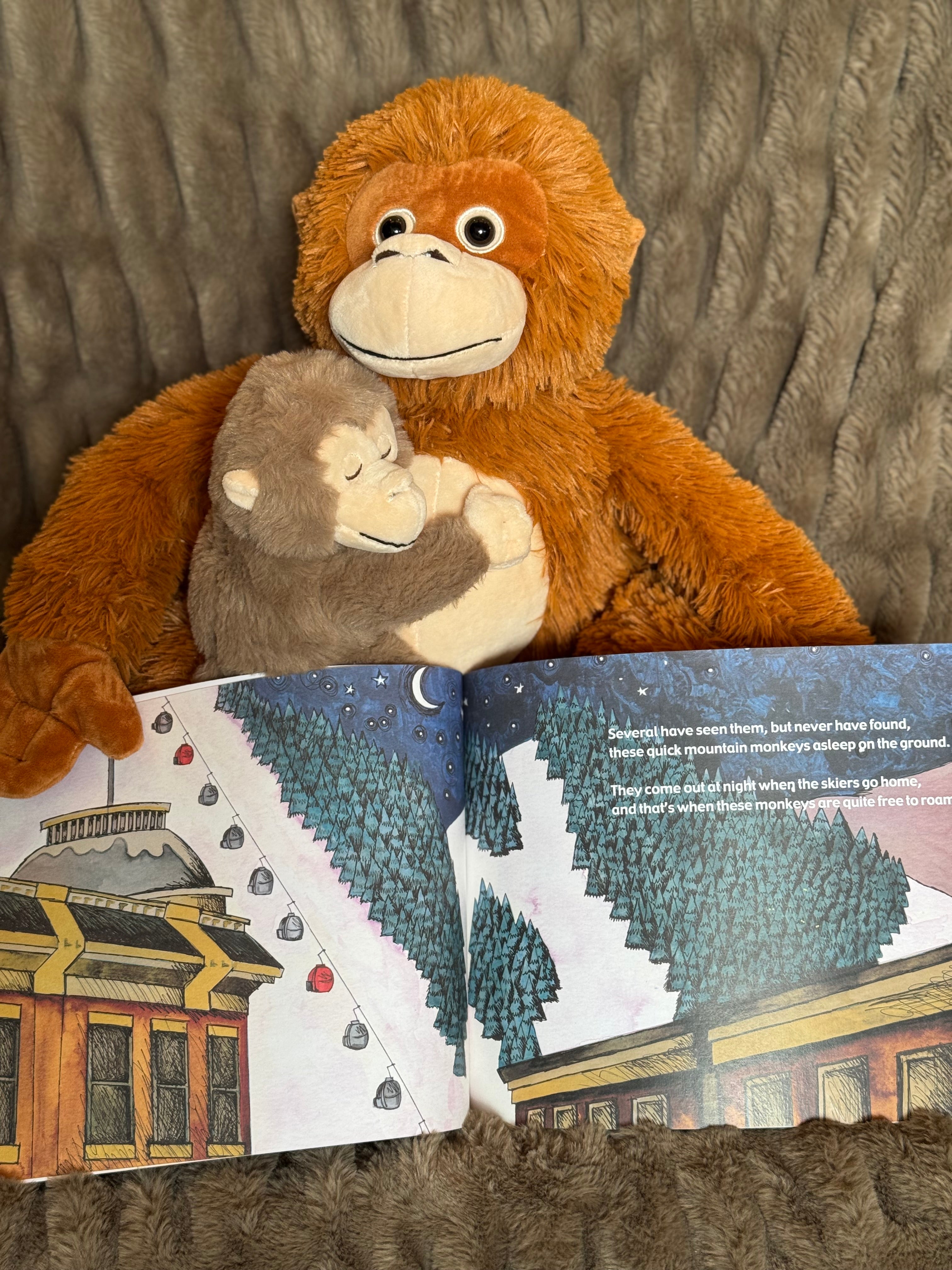 Paperback & Plush Monkey