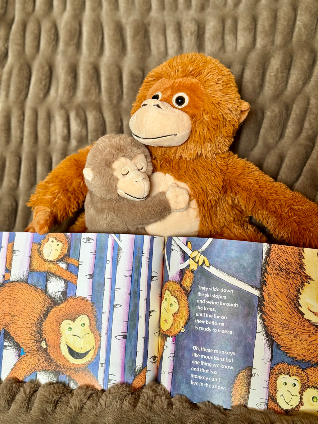 Paperback & Plush Monkey