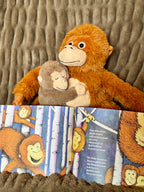 Paperback & Plush Monkey