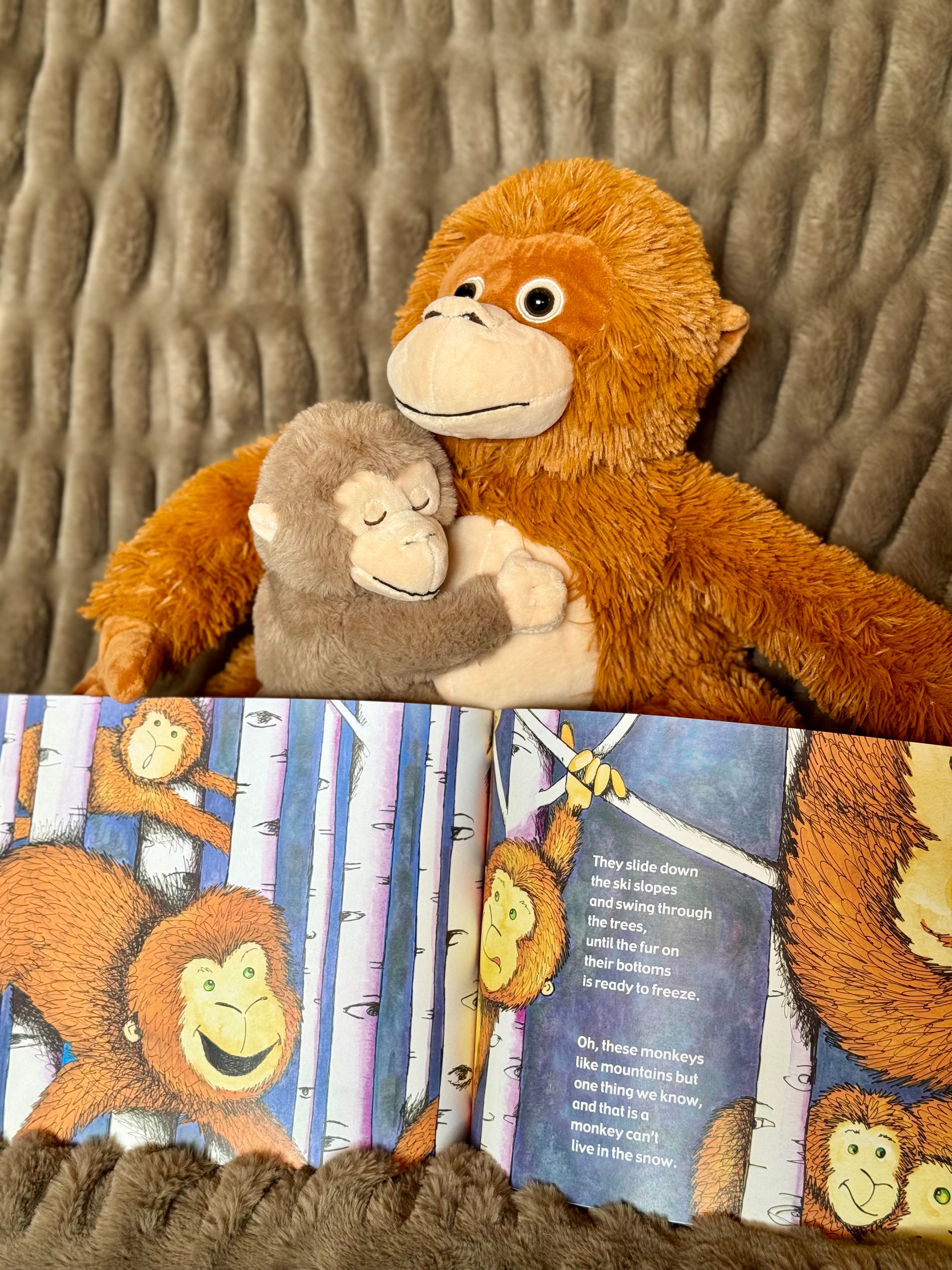 Paperback & Plush Monkey