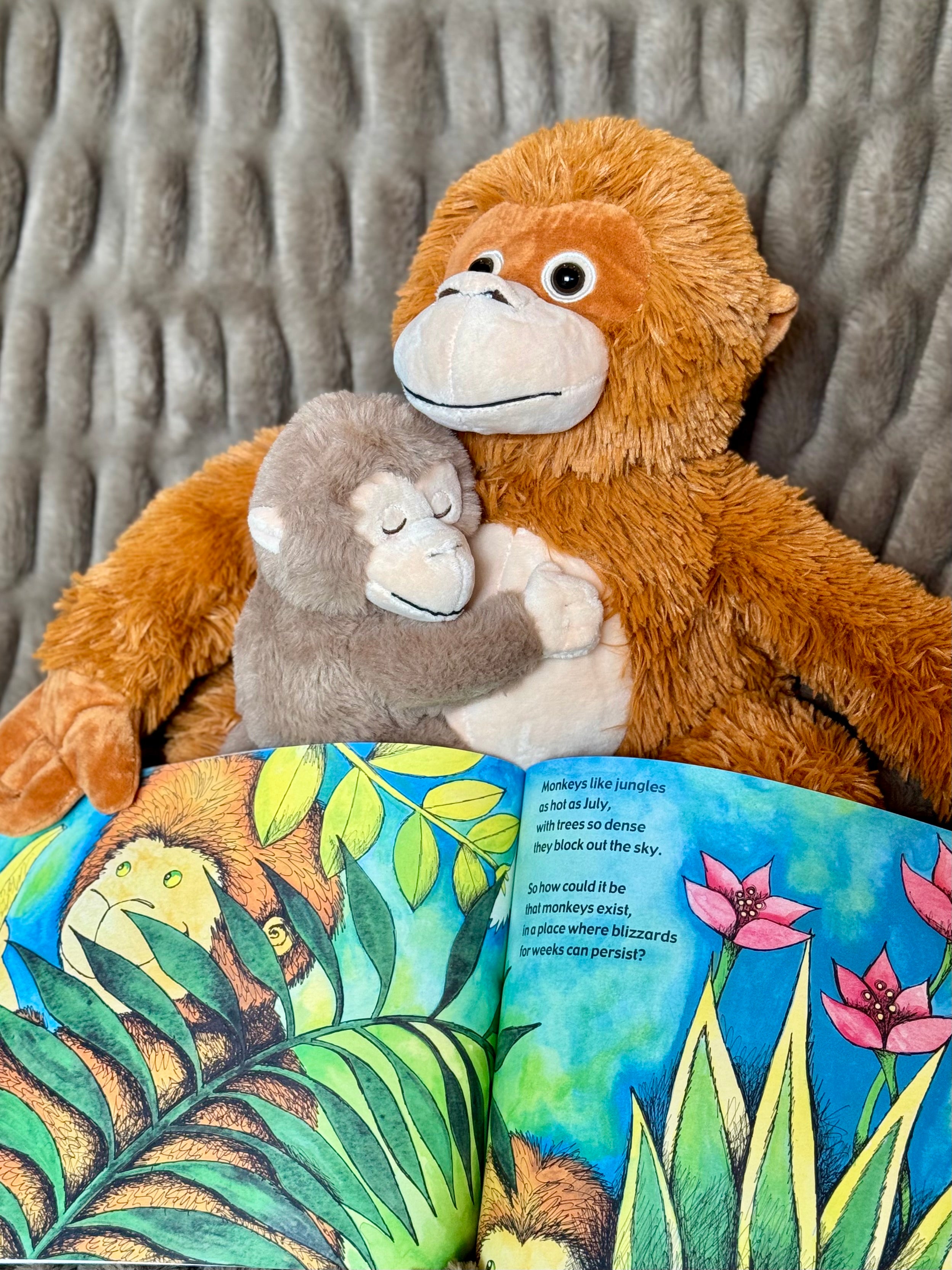 Paperback & Plush Monkey