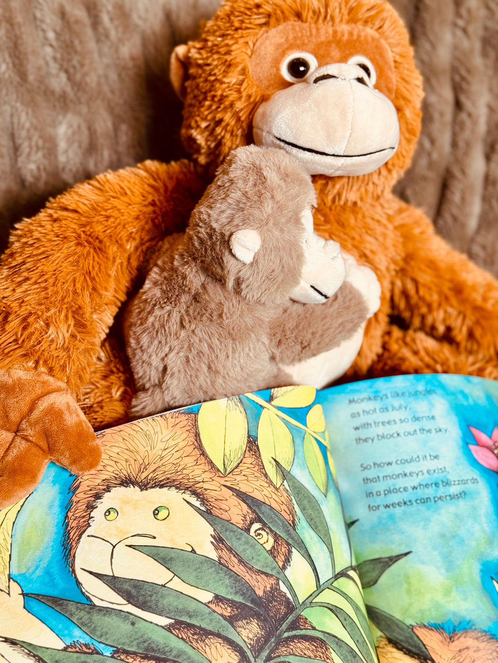 Paperback & Plush Monkey